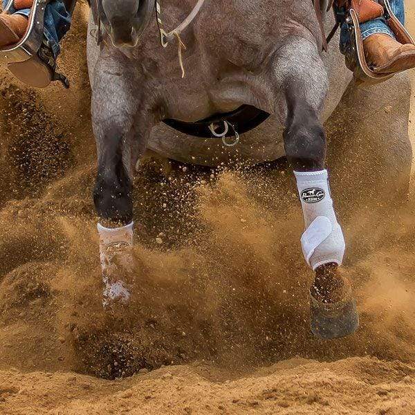 Equine Boots â Country Scene Saddlery and Pet Supplies