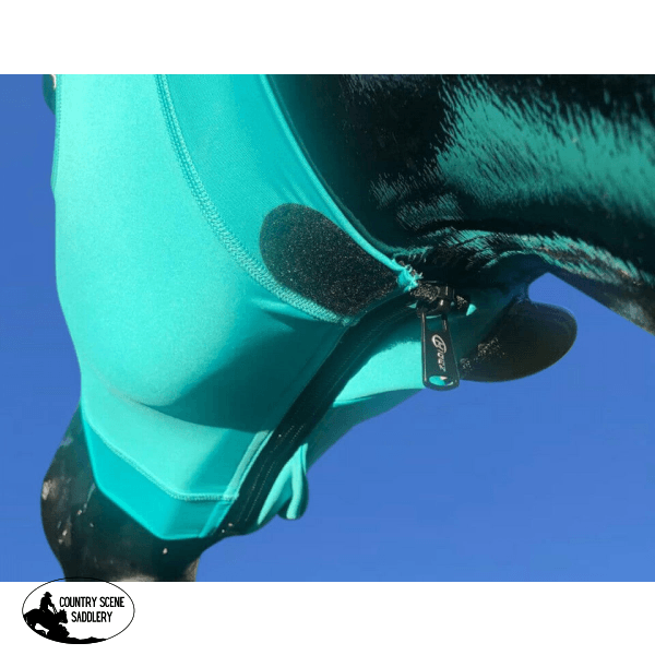 Hidez Hood BLUE PEACOCK main image 1