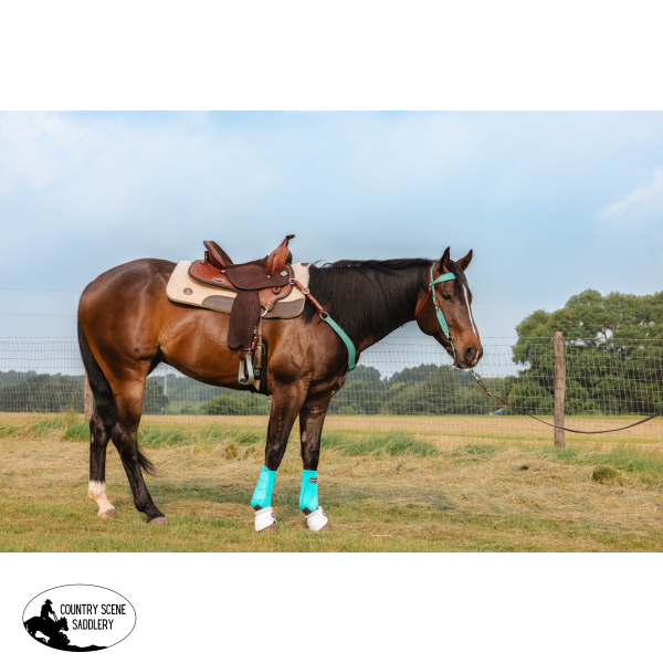 NEW! 1521 KK BIG STAR