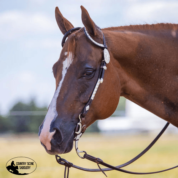 New! Billy Royal® Double Diamond Two Ear Headstall – Country Scene 