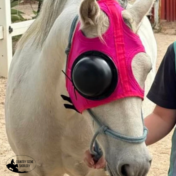 Recovery Eye Protective Mask Trot Harness