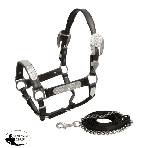 New! Showman ® Yearling/small Horse Dark Leather Show Halter With Lead.