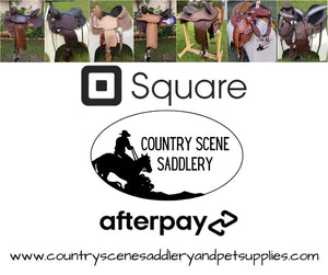 Afterpay and Square