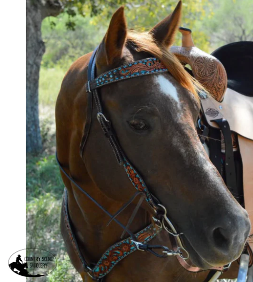 Premium Tack Sets Western – Country Scene Saddlery and Pet Supplies