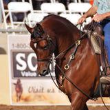 New! Billy Royal® 10 Ring Training Martingale - Training aids