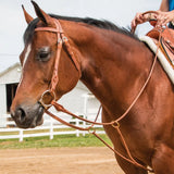 New! Schneiders® Texas Training Fork - Training aids