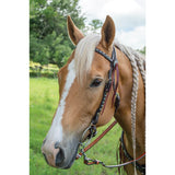 New! Remuda Browband Headstall - Country Scene Saddlery and Pet Supplies