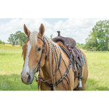 New! Remuda Browband Headstall - Country Scene Saddlery and Pet Supplies