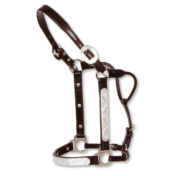 New! Engraved Silver Show Halter