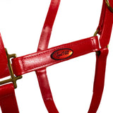 NEW! Syd Hill PVC Halter with Nameplate - Country Scene Saddlery and Pet Supplies