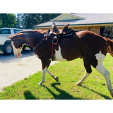10 Double T Youth Hard Seat Barrel Style Saddle With Extra Deep Seat.