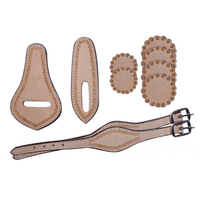 10 Piece Saddle Leather Replacement Kit. Light Oil