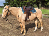 Syd Hill Premium Half Breed with Adjustable Tree Leather - Country Scene Saddlery and Pet Supplies