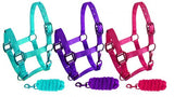 Showman ® Pony triple ply nylon halter and lead rope - Country Scene Saddlery and Pet Supplies