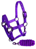 Showman ® Pony triple ply nylon halter and lead rope - Country Scene Saddlery and Pet Supplies