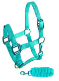Showman ® Pony triple ply nylon halter and lead rope - Country Scene Saddlery and Pet Supplies