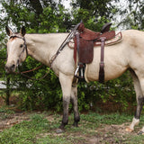 New! Dogwood Desert - Country Scene Saddlery and Pet Supplies