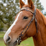 New! Python Pass Browband Headstall - Country Scene Saddlery and Pet Supplies