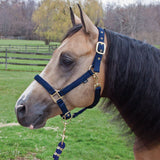 New! Schneiders® Dura-Tech® Cushion Web Halter - Country Scene Saddlery and Pet Supplies