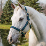 New! Schneiders® Dura-Tech® Cushion Web Halter - Country Scene Saddlery and Pet Supplies