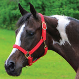 New! Schneiders® Dura-Tech® Cushion Web Halter - Country Scene Saddlery and Pet Supplies