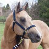 New! Schneiders® Dura-Tech® Cushion Web Halter - Country Scene Saddlery and Pet Supplies