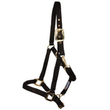 New! Schneiders® Dura-Tech® Cushion Web Halter - Country Scene Saddlery and Pet Supplies