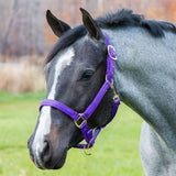 New! Schneiders® Dura-Tech® Cushion Web Halter - Country Scene Saddlery and Pet Supplies