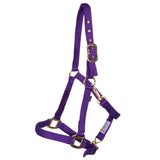 New! Schneiders® Dura-Tech® Cushion Web Halter - Country Scene Saddlery and Pet Supplies
