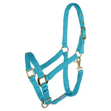 New! Schneiders® Dura-Tech® Cushion Web Halter - Country Scene Saddlery and Pet Supplies