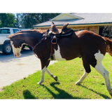 12’’ 13’’ Double T Youth Hard Seat Barrel style saddle