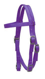 New! Showman Pony Size Premium nylon browband headstall - Country Scene Saddlery and Pet Supplies