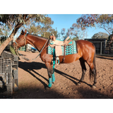 14", 15", 16" Double T Barrel Style Saddle with Filigree Print Seat. - Country Scene Saddlery and Pet Supplies