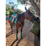 14", 15", 16" Double T Barrel Style Saddle with Filigree Print Seat. - Country Scene Saddlery and Pet Supplies
