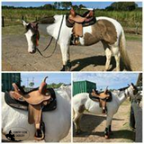 1528 Kelly Kaminski Blaze Flex2® Barrel Saddle - Country Scene Saddlery and Pet Supplies