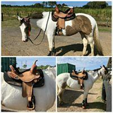 New! 1528 Kelly Kaminski Blaze Flex2® Barrel Saddle Posted.*