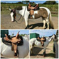 New! 1528 Kelly Kaminski Blaze Flex2® Barrel Saddle Posted.*