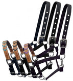 Showman ® Black Nylon halter with Argentina cow leather braided accent nose. - Country Scene Saddlery and Pet Supplies