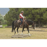 1752 JULIE GOODNIGHT MONARCH - Country Scene Saddlery and Pet Supplies