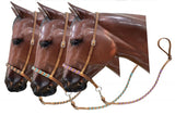 Showman ® Argentina Leather Braided nose tiedown. - Country Scene Saddlery and Pet Supplies