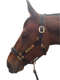 Leather Halter - Brass Fittings with Engraved Horse Nameplate