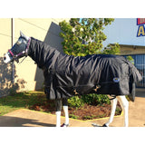 New! Arctic Combo BLACK - Country Scene Saddlery and Pet Supplies