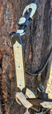 New! Billy Royal® Grand Slam II Classic Show Halter - Country Scene Saddlery and Pet Supplies