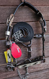 New! Showman ® Mini leather show halter with black scroll inlay - Country Scene Saddlery and Pet Supplies