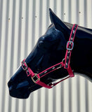 New! Coloured Ribbon Halter - Country Scene Saddlery and Pet Supplies