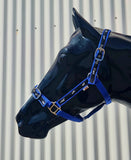 New! Coloured Ribbon Halter - Country Scene Saddlery and Pet Supplies