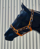 New! Coloured Ribbon Halter - Country Scene Saddlery and Pet Supplies