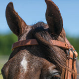 New! Schneiders® Rolled Nose Leather Side Pull