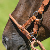 New! Schneiders® Rolled Nose Leather Side Pull