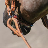 New! Billy Royal® Rolled Nose Leather Side Pull - Country Scene Saddlery and Pet Supplies